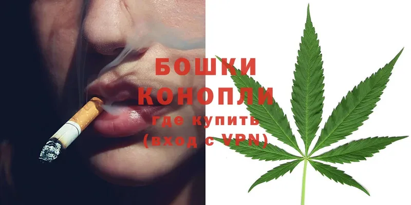 магазин продажи наркотиков  Балашов  Бошки Шишки SATIVA & INDICA 